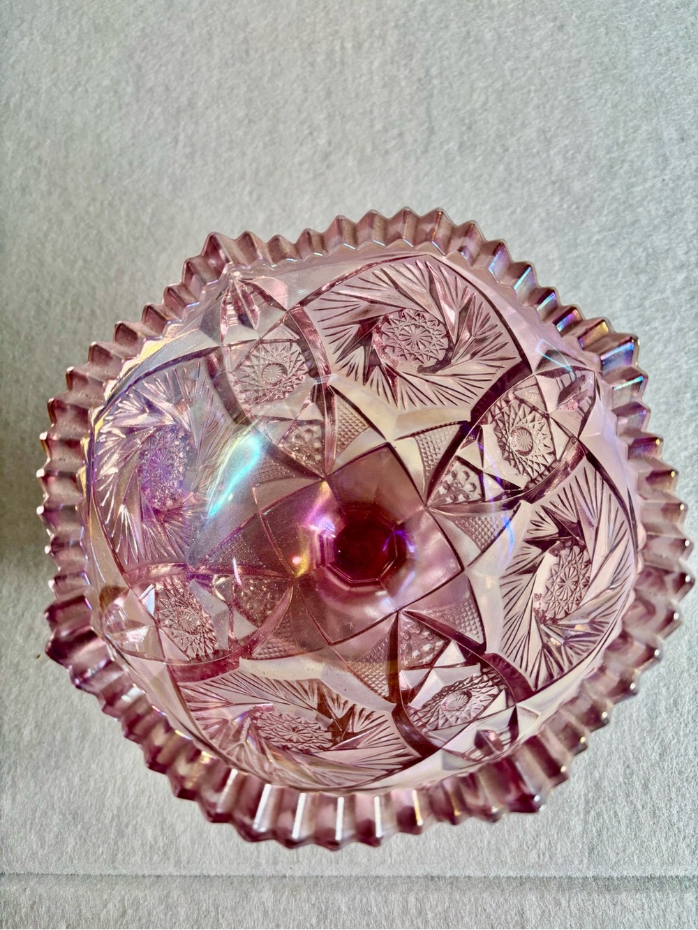 LE Smith Woodrose Buzz Star Compote - Picture 4 of 5